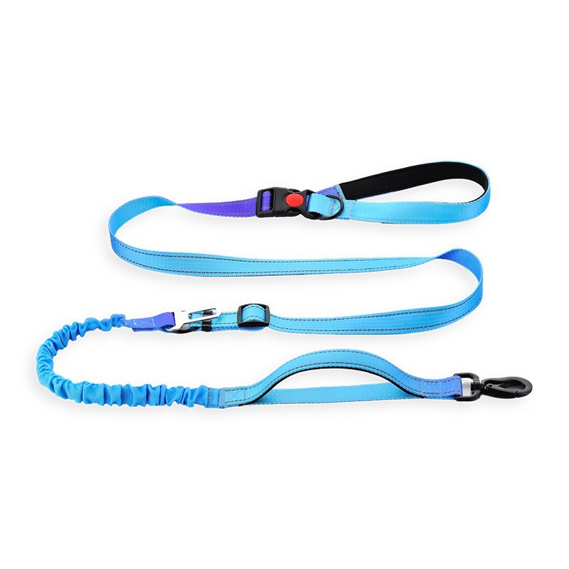 Elastic Dog Leash factory
