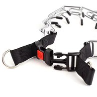 ปลอกคอสุนัขง่าม